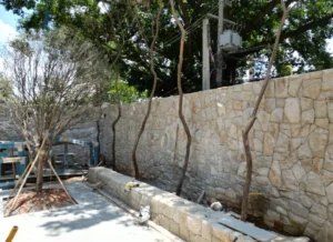 Revestimento pedra moledo