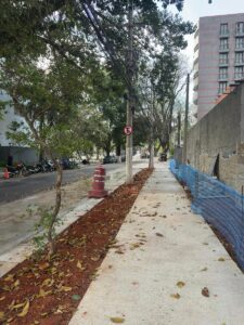 Início – paisagismo