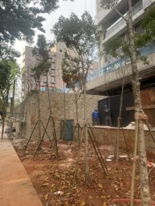 Instalação de revestimento dos muros e plantio para depave