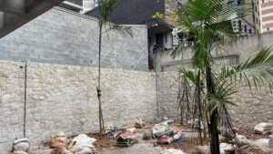 Pedra Moledo e Plantio